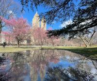 spring in central park